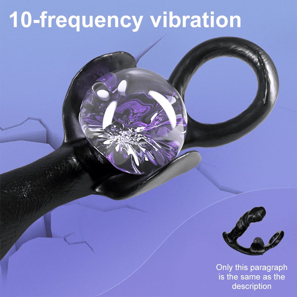 Dildo Anal Vibrator with Prostate Massager, Penis Ring & Bullet Butt Plug